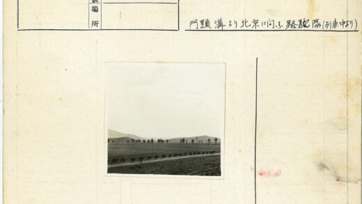 骆驼队行走田野土路远山.jpg
