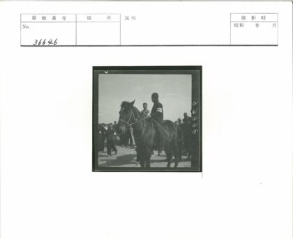 骑兵臂章领袖与群众.jpg