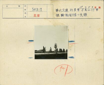 骑行开阔林荫道自行车队.jpg