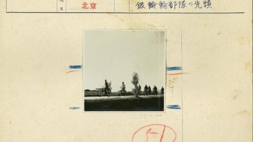 骑行开阔林荫道自行车队.jpg