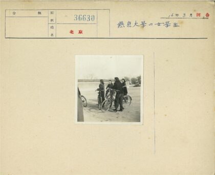 骑行者与冬日枯树墙景.jpg