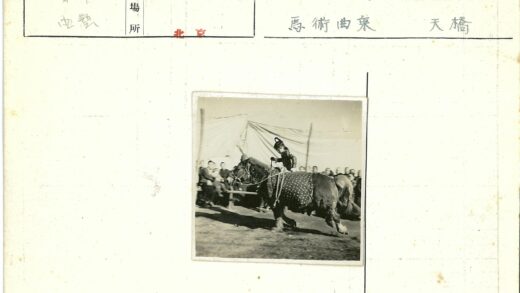 骑马者与围观人群户外场景.jpg