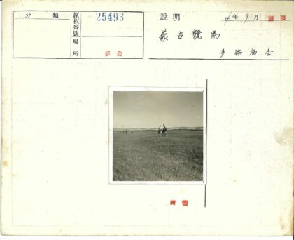骑马远眺晴空田野.jpg