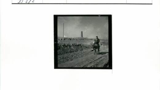 骑驴行经古塔土路.jpg