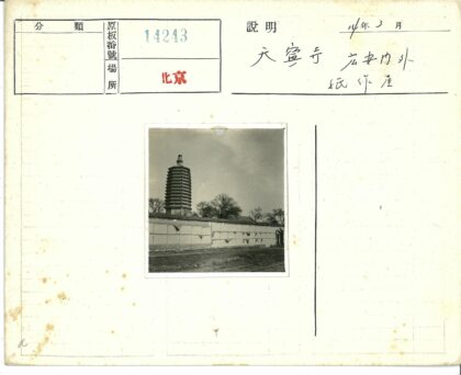 高塔剪影冬日树景.jpg