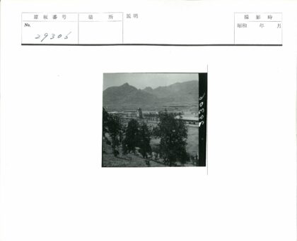 高塔山林景观.jpg