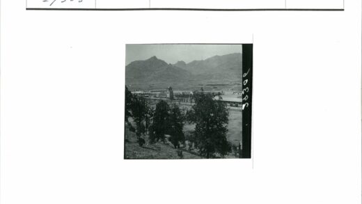高塔山林景观.jpg