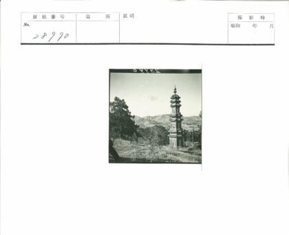 高塔山脉树木景观.jpg