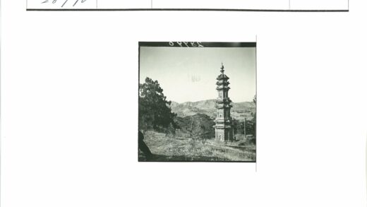 高塔山脉树木景观.jpg