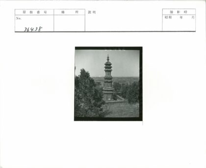 高塔林间远景.jpg