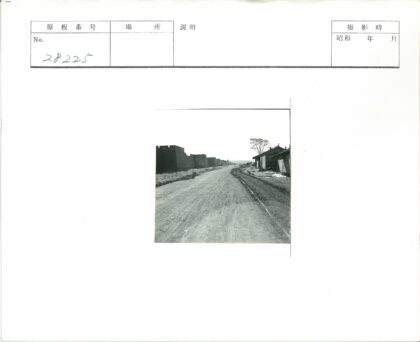 高墙土路与孤树景.jpg