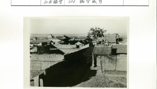 高墙瓦顶与晴空远树.jpg