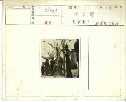 高大谷物秸秆与砖砌建筑.jpg