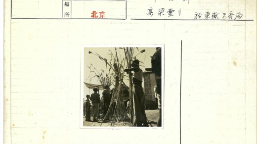 高大谷物秸秆与砖砌建筑.jpg