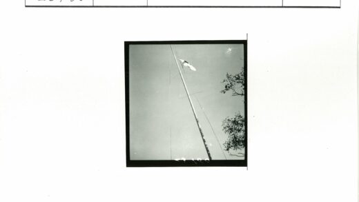 高杆旗帜飘扬晴空树枝.jpg