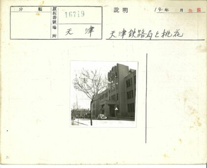 高楼绿树与复古街车.jpg