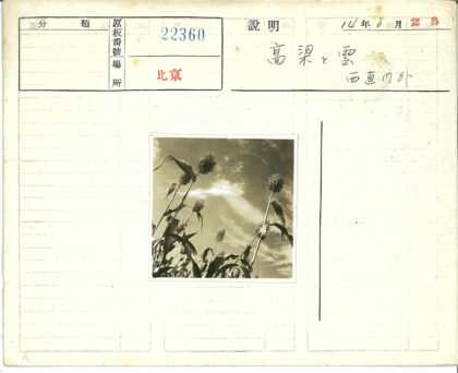 高粱田云天下.jpg