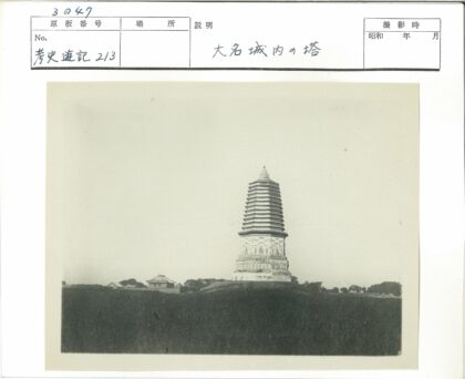 高耸宝塔与开阔景观.jpg