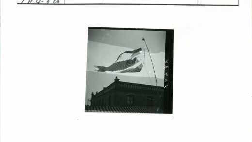 鱼形风筝与建筑背景.jpg