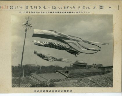 鱼形风袜飞舞传统屋顶景观.jpg