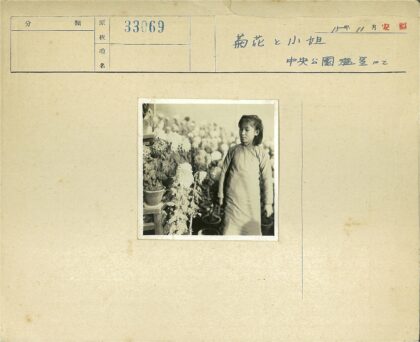 鲜花与人自然共处.jpg