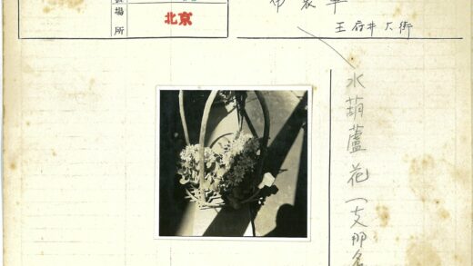 鲜花篮水泥地阴影.jpg