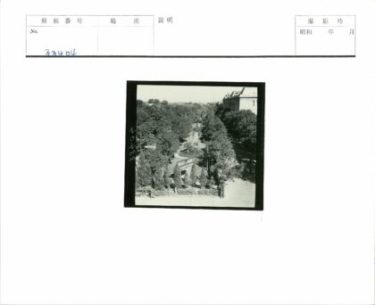 鸟瞰景观公园绿树环绕人行道标志建筑.jpg