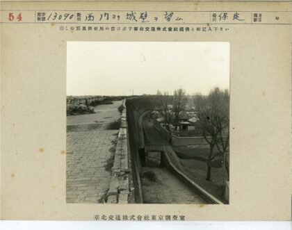 鹅卵石小径与墙边树景.jpg