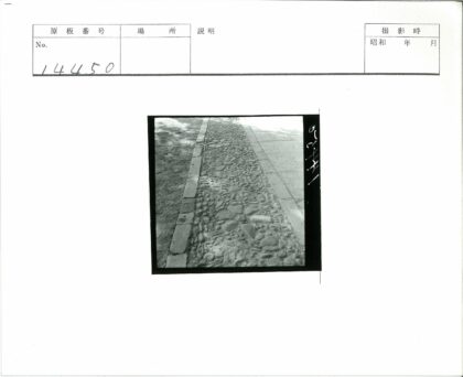 鹅卵石路与泥土小径.jpg