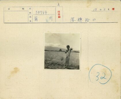 麦田孩童与远山宝塔.jpg