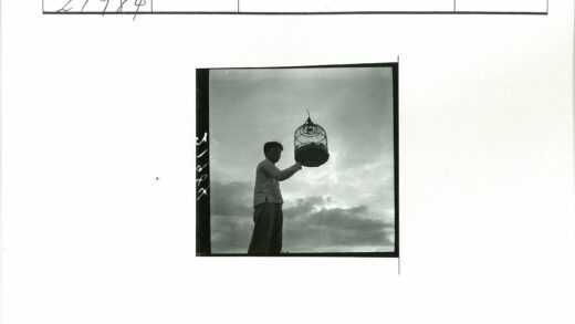 黄昏笼鸟多云天空.jpg