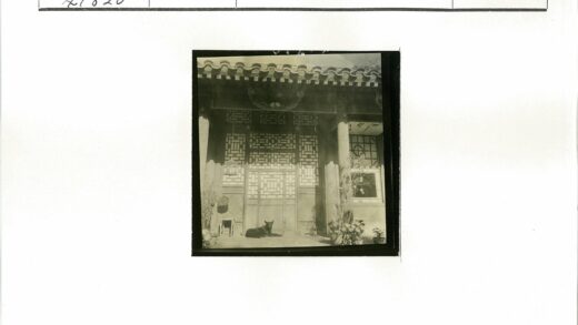 黑狗卧传统格子木门前.jpg