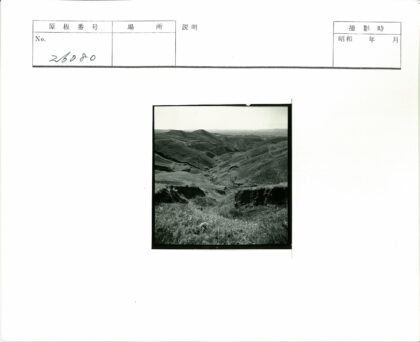 黑白丘陵草地与远山景观.jpg