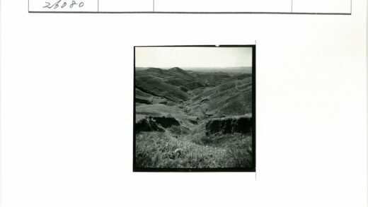 黑白丘陵草地与远山景观.jpg