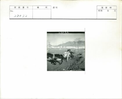 黑白双马马车山景风光.jpg
