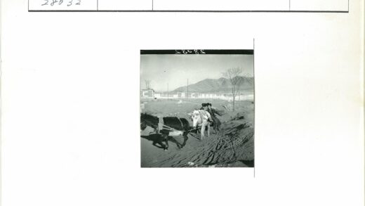 黑白双马马车山景风光.jpg