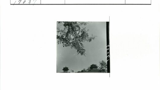 黑白宝塔与花枝晴空.jpg