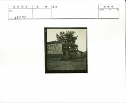 黑白建筑汉字墙大树街景.jpg