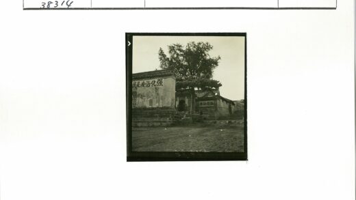 黑白建筑汉字墙大树街景.jpg