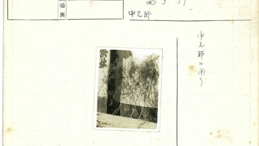 黑白建筑背景细枝植物.jpg