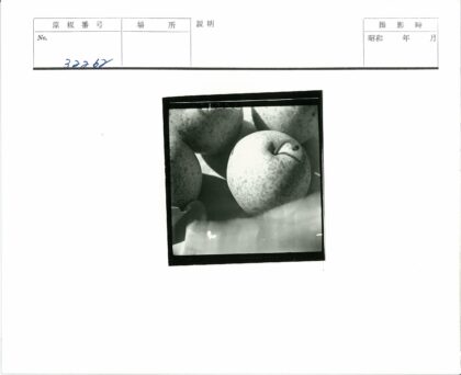 黑白特写苹果静物摄影.jpg