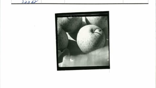 黑白特写苹果静物摄影.jpg