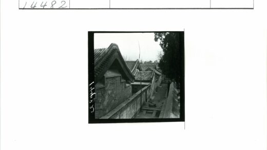 黑白瓦顶窄巷树影.jpg