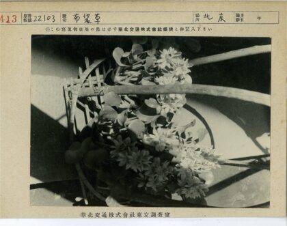 黑白编织篮鲜花树叶静物.jpg