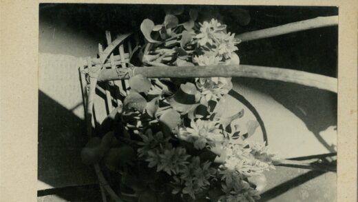 黑白编织篮鲜花树叶静物.jpg