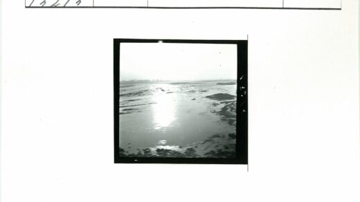 黑白航拍河流与农田景观.jpg
