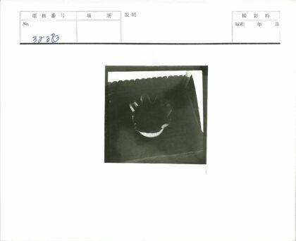 黑色物体手指状突起深色桌面.jpg