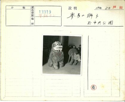龙与驴动物服装室内展览.jpg