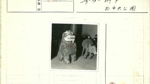 龙与驴动物服装室内展览.jpg