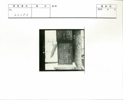 龙纹汉字石碑与纹理树干.jpg